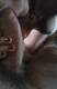 Foto privada de sex_69